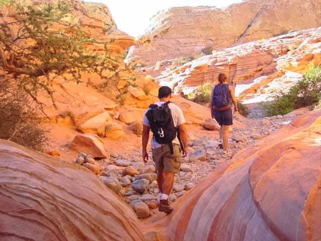Hiking in Valley of Fire State Park