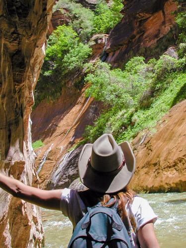 Discovering Zion Narrows