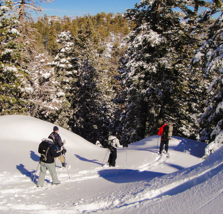 Snowshoeing with REI