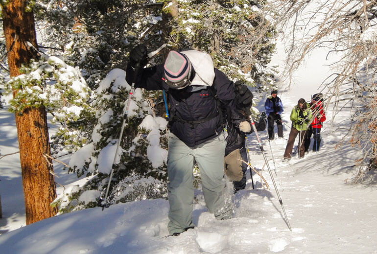 Ascending hills, Snowshoeing