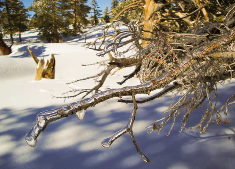 Icicles, San Jacinto, Snowshoeing