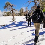 Learning How To Snowshoe With REI