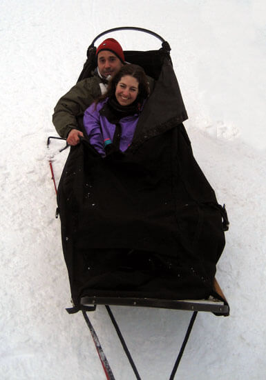 Cozy Dog Sledding Transportation