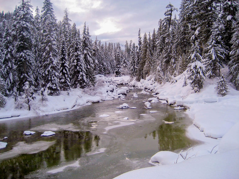 Whistler Winter Wonderland