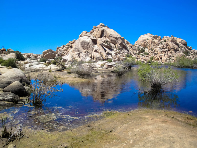 Barker Dam, Joshua Tree