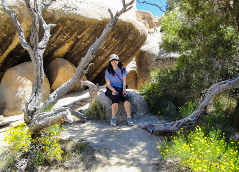 Shady Spot in Joshua Tree