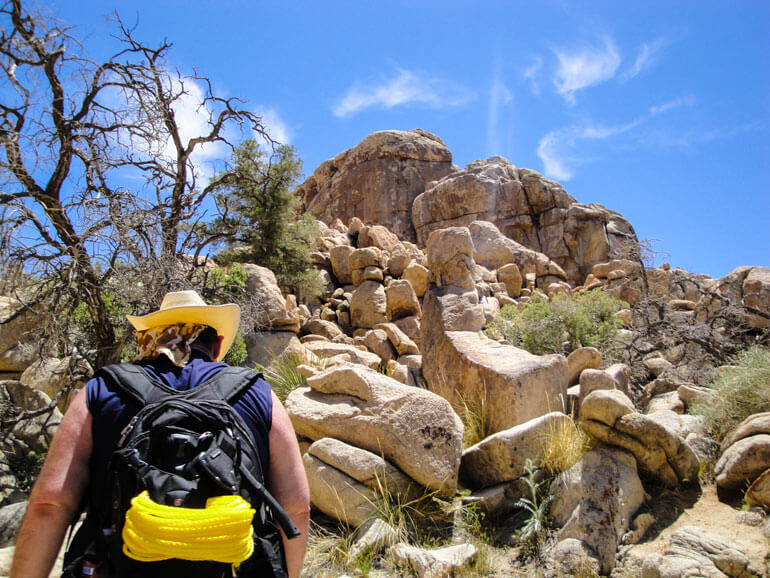 joshuatree-2