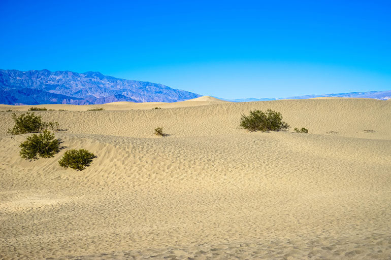 Mesquite Sand Dunes