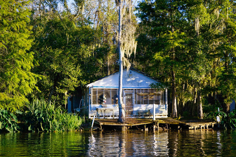 Cajun Swamp House