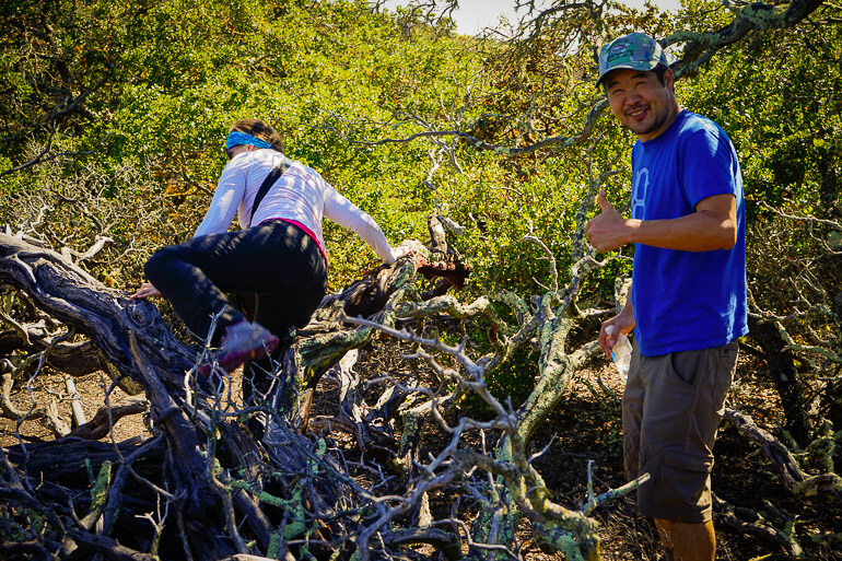 Bushwacking Santa Cruz Island