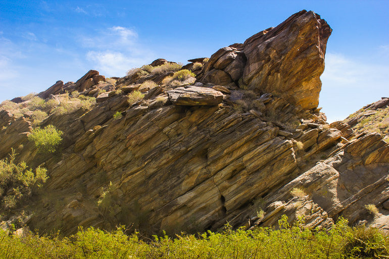 Rock outcrops of Palm Canyon