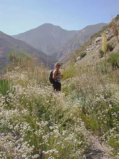 Hiking to the Bridge To Nowhere