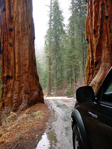 Driving into Sequoia National Park