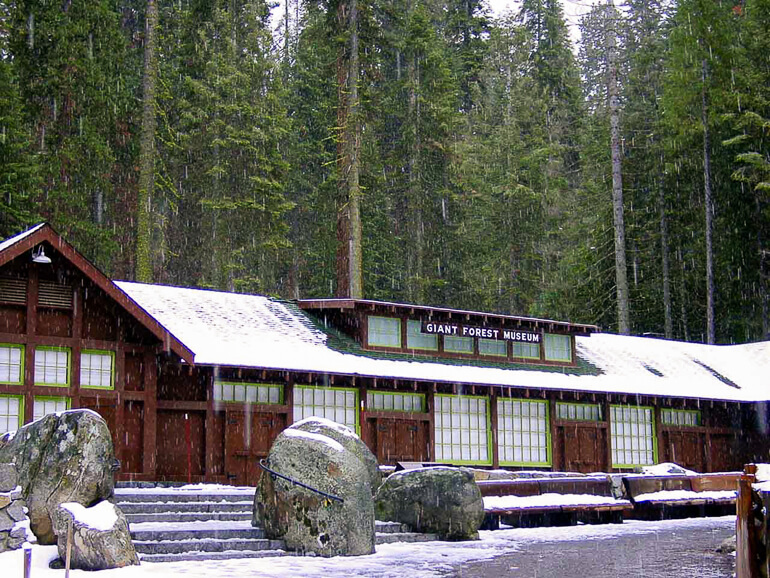 The Giant Forest Museum